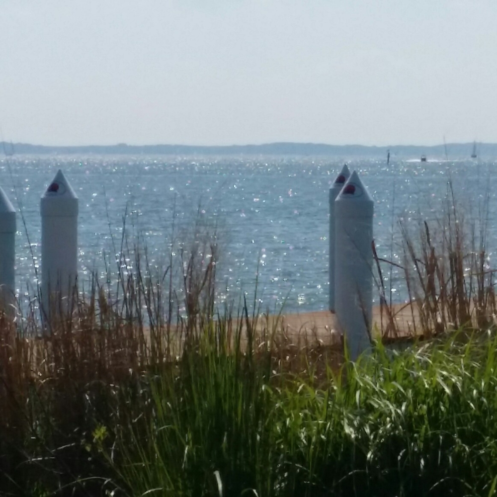 Meet your Posher, Carla